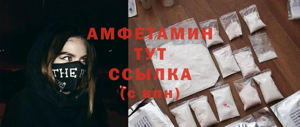 молекула духа Нязепетровск