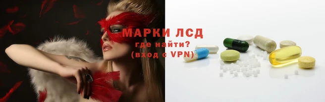 mdpv Новодвинск