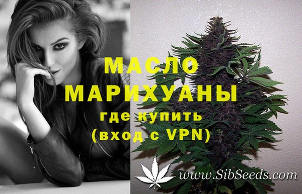 молекула духа Нязепетровск
