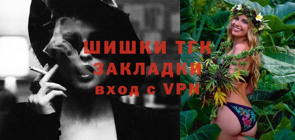 бошки Няндома