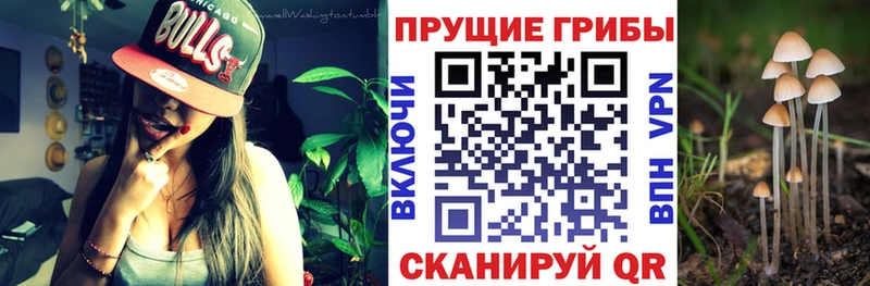 Галлюциногенные грибы Magic Shrooms  мега   Харовск 